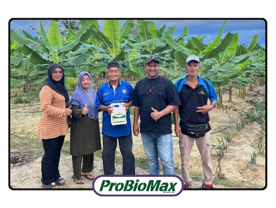 ProbiomaxWebfont74-ezgif.com-png-to-webp-converter